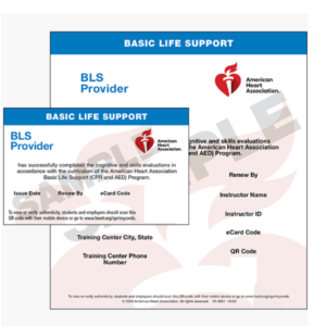 bls certification example